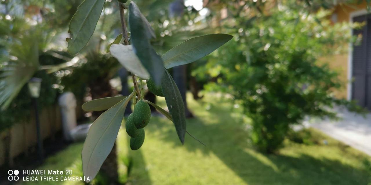 Appartement Maresole Tra L'Etna E Taormina à Mascali Extérieur photo