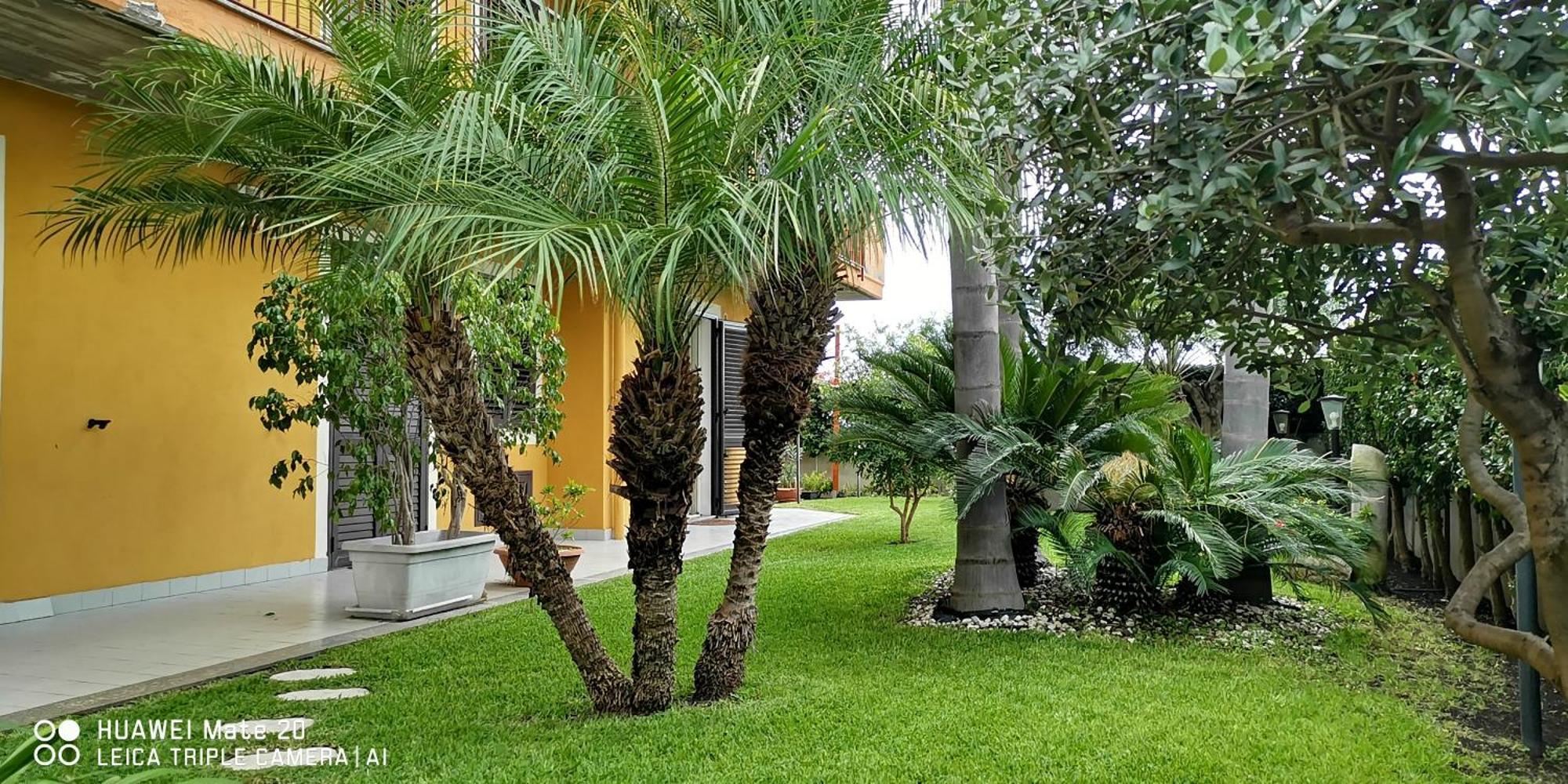 Appartement Maresole Tra L'Etna E Taormina à Mascali Extérieur photo