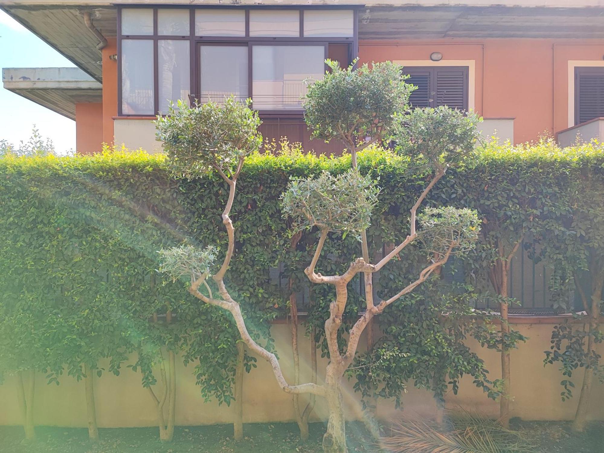Appartement Maresole Tra L'Etna E Taormina à Mascali Extérieur photo