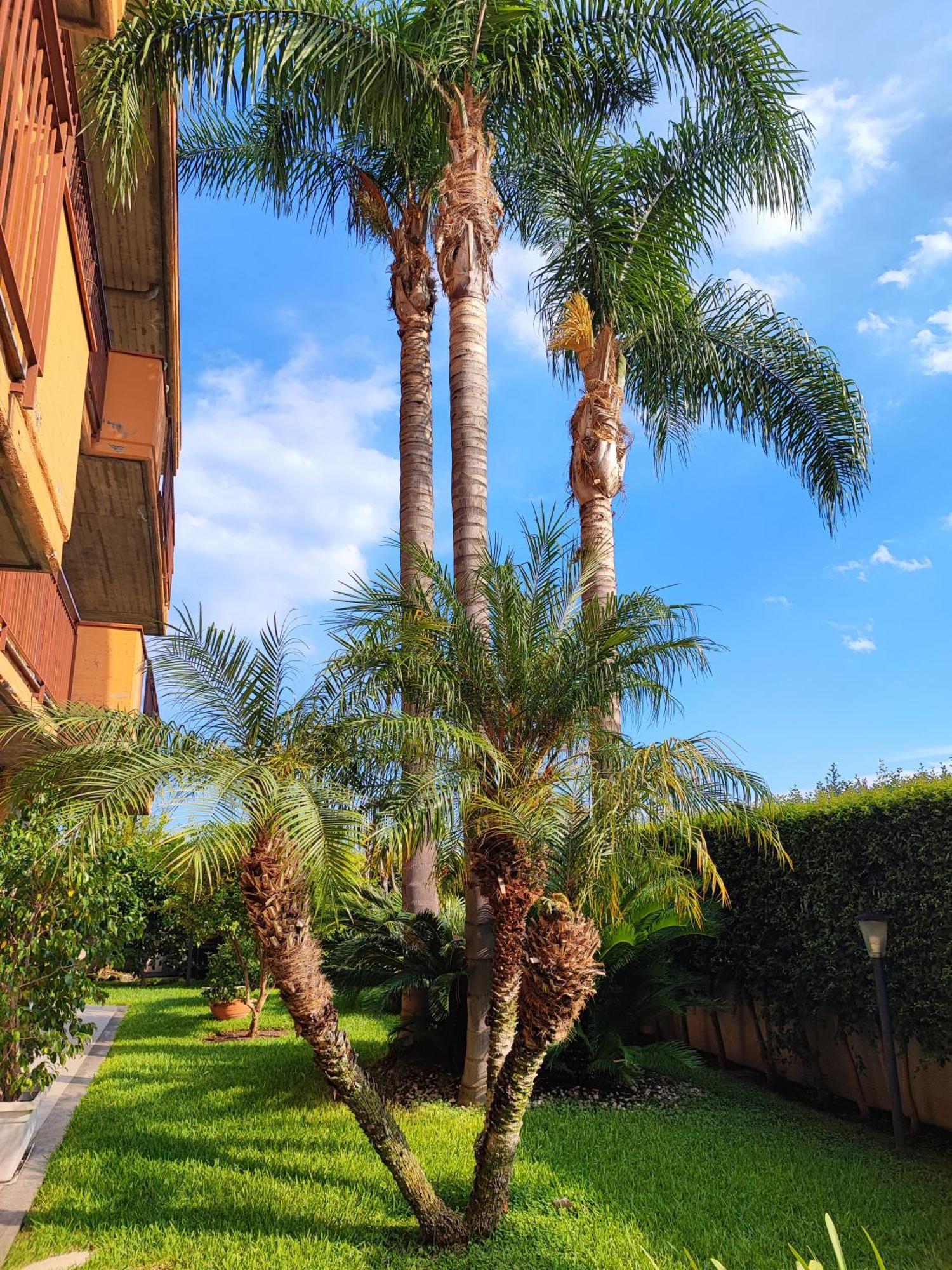 Appartement Maresole Tra L'Etna E Taormina à Mascali Extérieur photo