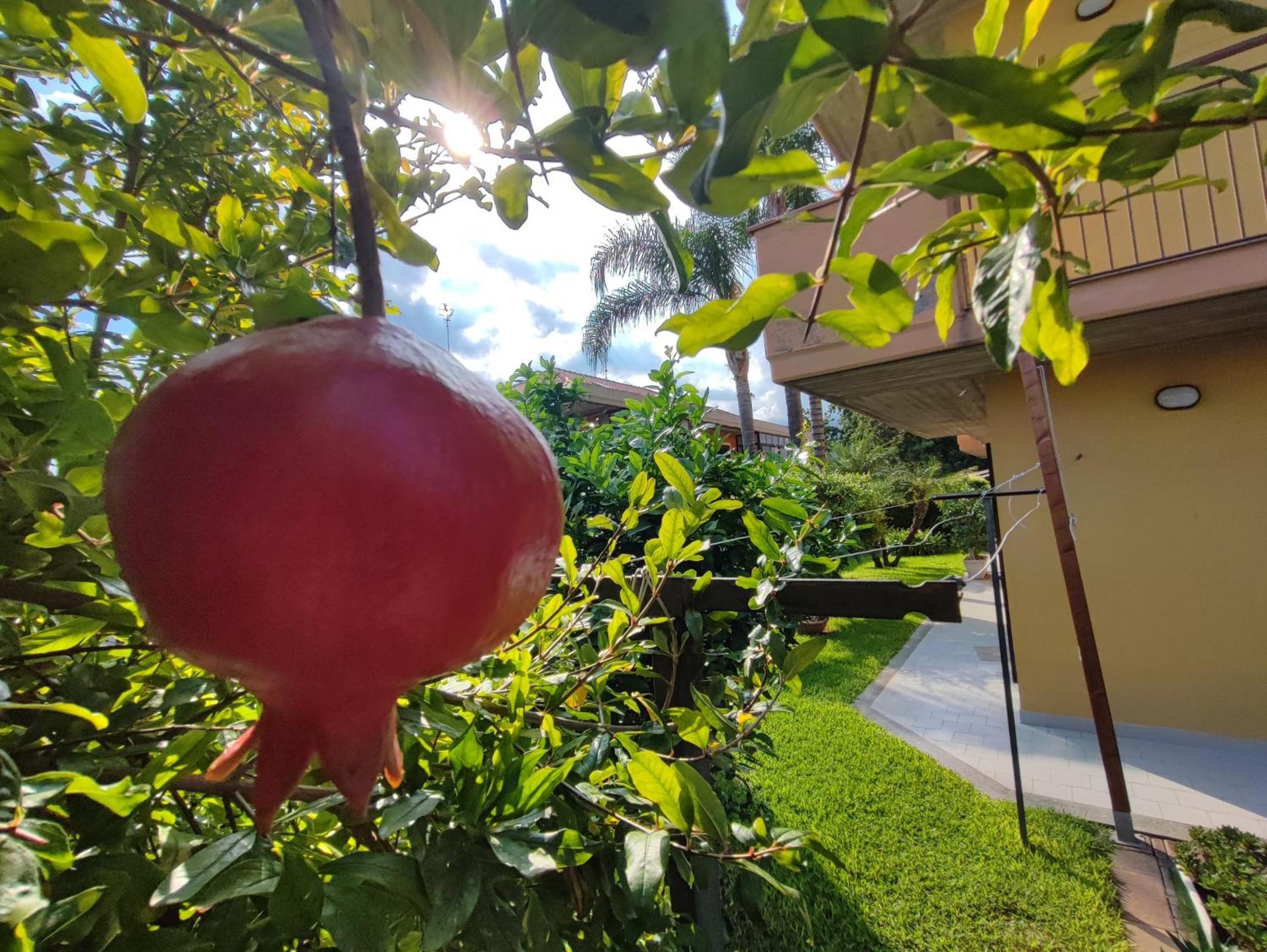 Appartement Maresole Tra L'Etna E Taormina à Mascali Extérieur photo